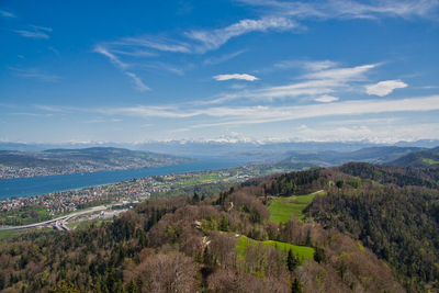 Lake Zurich from Uetliberg